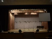 Целинский районный дворец культуры