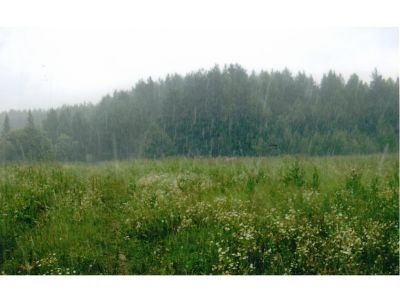 Священная роща