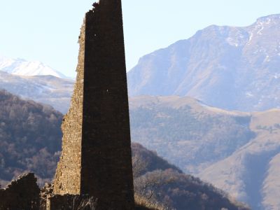 Башня боевая