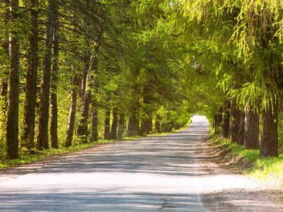 Парк, подъездная аллея от дороги к усадебному дому