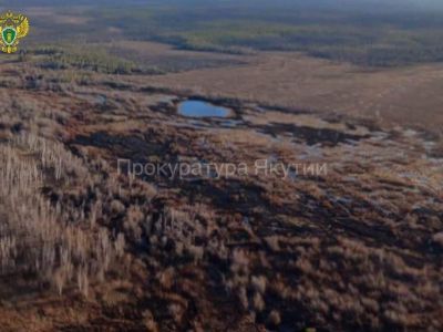 Суд обязал виновника лесного пожара в Нюрбинском районе Якутии выплатить 100 тысяч рублей