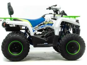 Квадроцикл MOTOLAND 200 Shark (2021 Г.)