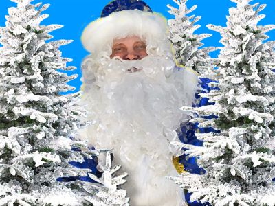 Билеты на Морозко (Дом музыки) / Театр | Афиша | ИнфоТаймс