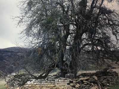 Пир-святилище