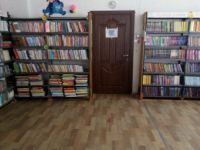 Центральная библиотека Орловского района