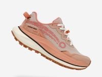 Кроссовки женские Terra Max Nitro W