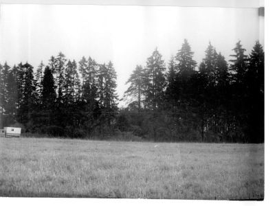 Парк усадебный регулярно-пейзажной планировки