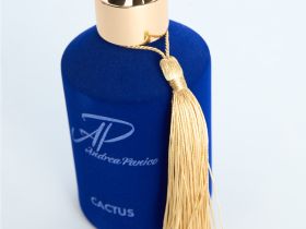 Диффузор Cactus 180 мл