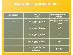 Детский велосипед Maxiscoo S007 Стандарт 14, год 2024, цвет Оранжевый