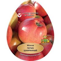 Яблоня Пепин шафранный (подвой семенной)