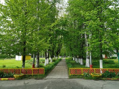 Усадьба Волконских (Окуловых)