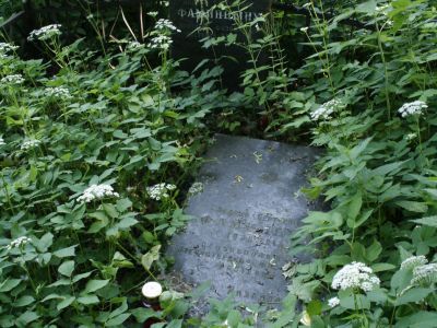 Могила Фаминцына А.С. (1835-1918), ботаника-физиолога