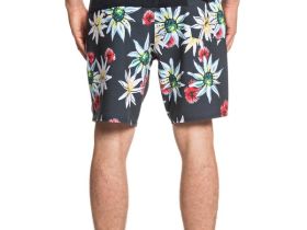 ШОРТЫ HLDEVILSTEA19 M BDSH KVJ6