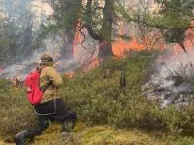 26 июля: в районе по-прежнему тушат три лесных пожара