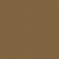 Бумага для пастели "Палаццо" 70x100 см 160 г корица