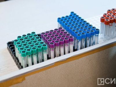 Два новых случая бешенства выявили в Аллаиховском районе