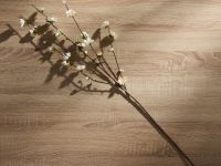 Ветвь Счастливой Пасхи/Buona Pasqua II