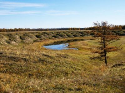 Фильм о карбоновых полигонах покажут на Северном форуме по устойчивому развитию в Якутии