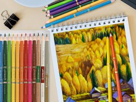 Набор карандашей цветных двусторонних ACMELIAE 15 шт + точилка, в картонном футляре