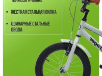 Детский велосипед Pifagor Line 16, год 2023, цвет Серый