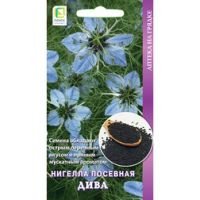 Нигелла Посевная Дива (черный тмин)