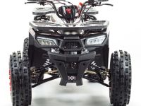 Квадроцикл MOTOLAND Wild 150