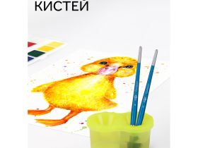 Стакан-непроливайка двойной Гамма, неоновые цвета, ассорти