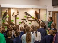 Ступинский историко-краеведческий музей