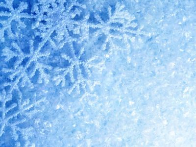 Конь Юлий спасает Новый год