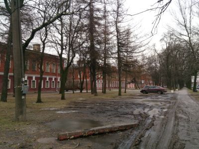Сад