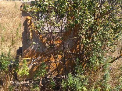 Могила председателя Солодчинского райисполкома Маманкова П.И.