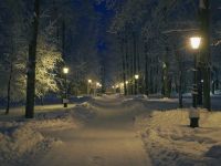 Соляной сад