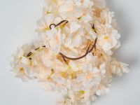 Ветвь Eternal Garden I