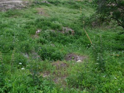 Водяная мельница