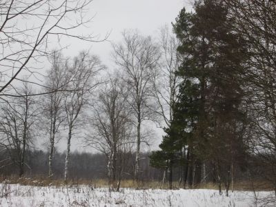 Памятное место, где в 1943 г. части Советской Армии вели упорные бои с немецко-фашистскими захватчиками и получили наименование «Ломоносовских