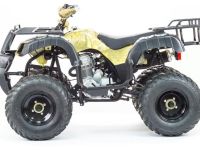 Квадроцикл MOTOLAND 250 Adventure (2021 Г.)