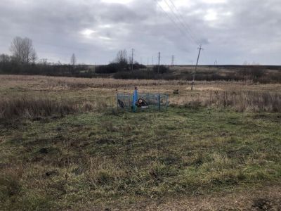 Братская могила школьников, казненных оккупантами