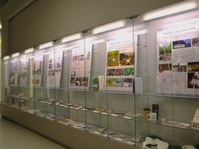 В Якутске открылась выставка, посвящённая 30-летию природного парка «Ленские столбы»