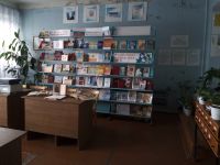 Большеозерская сельская библиотека