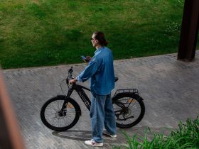 Электровелосипед Alpine Bike Dammastock, год 2025, цвет Коричневый, ростовка 20