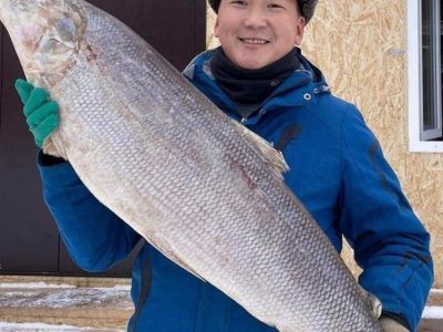 Дмитрий Громов: "Надеемся, в Год детства в дошкольном и школьном питании будет местная продукция"