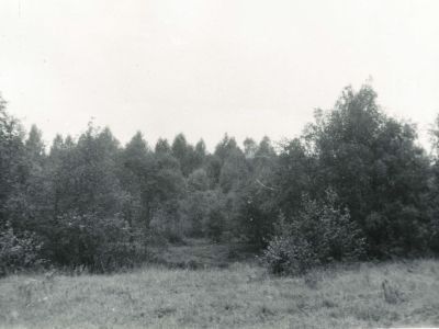 Усадьба. Парк