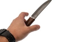 Нож Кайман, сталь S390, рукоять айронвуд, мельхиор