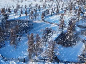 В тундровой зоне Якутии завершили весеннюю корализацию оленей