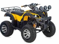 Квадроцикл TIGER Sport 250 (2024)