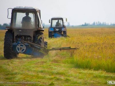 В Якутии в сфере сельского хозяйства выявлены махинации с субсидиями на 13 млн рублей