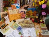 Тепловская библиотека-филиал