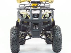 Квадроцикл MOTOLAND 250 Adventure (2021 Г.)