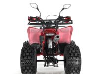 Квадроцикл WELS Thunder Evo X