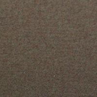 Бумага для пастели Clairefontaine "Etival color" 50x65 см, 160 г каштан